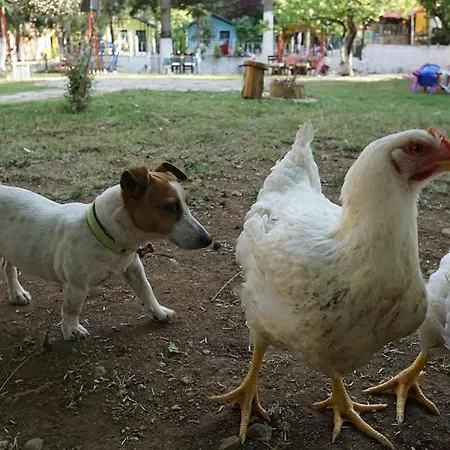Likya Saklı Bahçe Hotel Fethiye